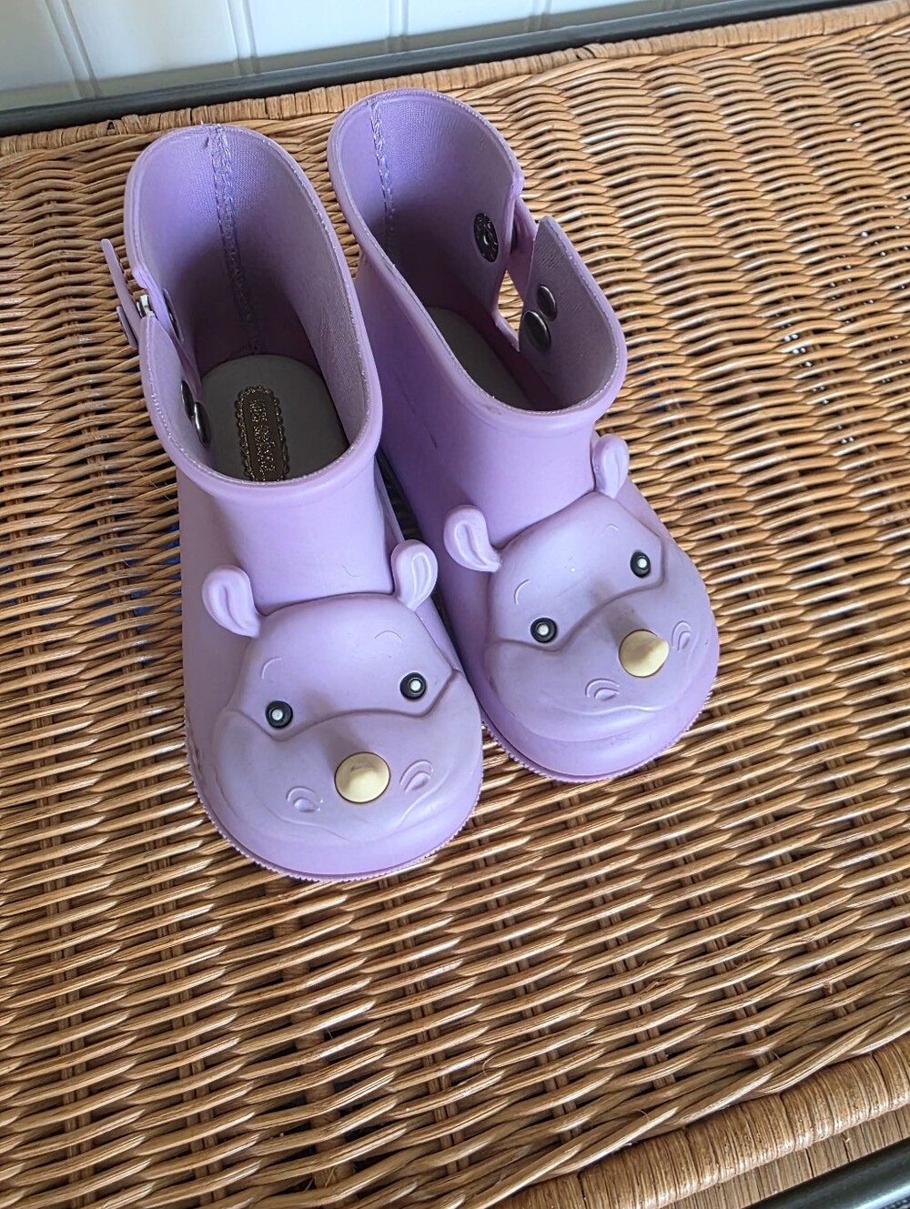 Mini Melissa Hippo Boots